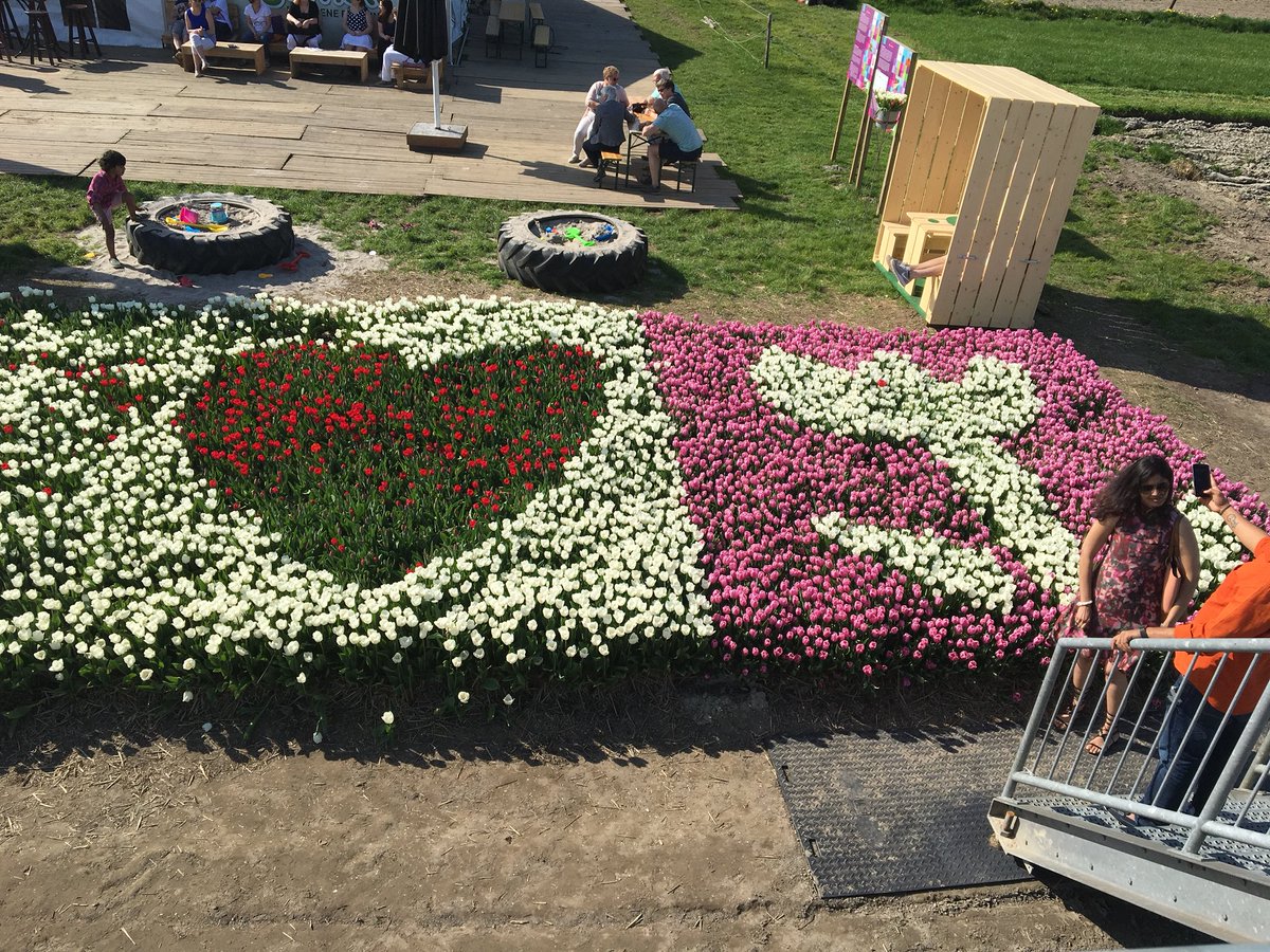 ParelPR's tweet photo. Maak een #tulpselfie op het #tulpenbelevingsveld en win een mooie prijs #tulpenselfieweekend https://t.co/sPaGjC4oe7
