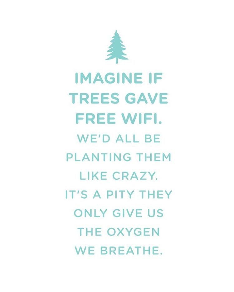 Amen!!

🌳💋🌱💕

#EarthDay #oxygen #fresh!