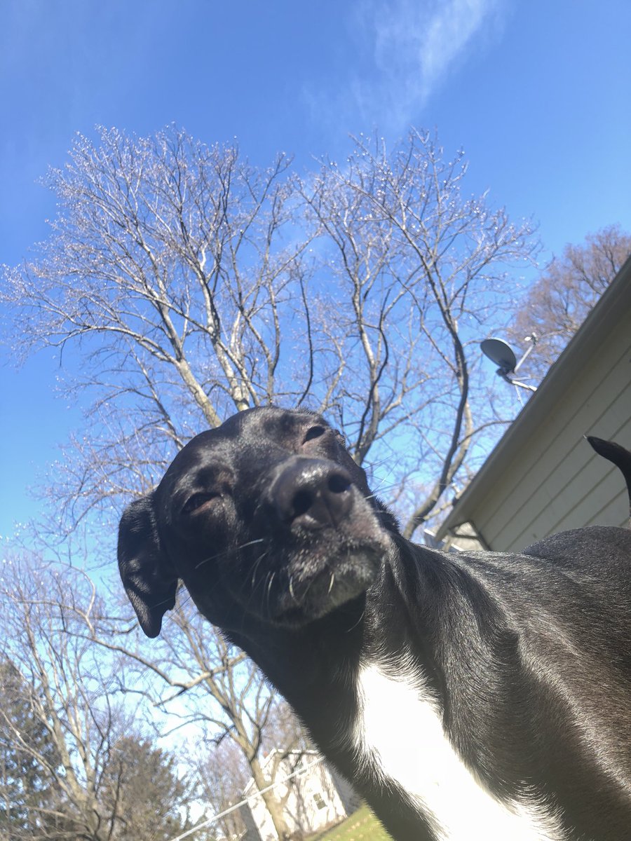 sabfarsace's tweet photo. the sun finally came out today !! https://t.co/zxNcmtwPoR