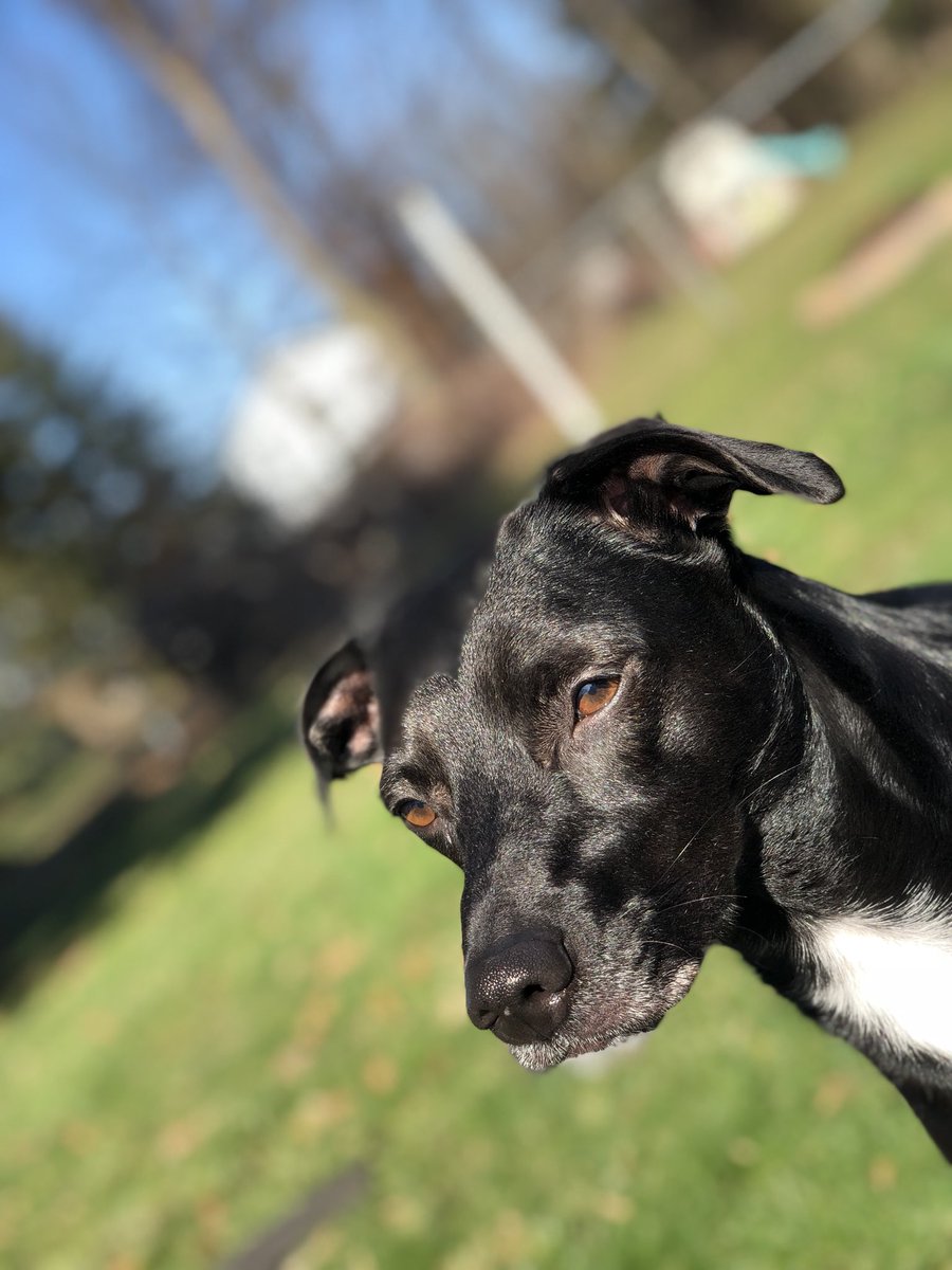 sabfarsace's tweet photo. the sun finally came out today !! https://t.co/zxNcmtwPoR