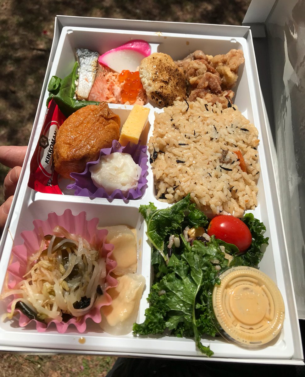 lookytasty's tweet photo. Bento Box today at the Sakura Matsuri Cherry Blossom Festival at Flushing Meadows Corona Park. https://t.co/EtZk61VYPS
