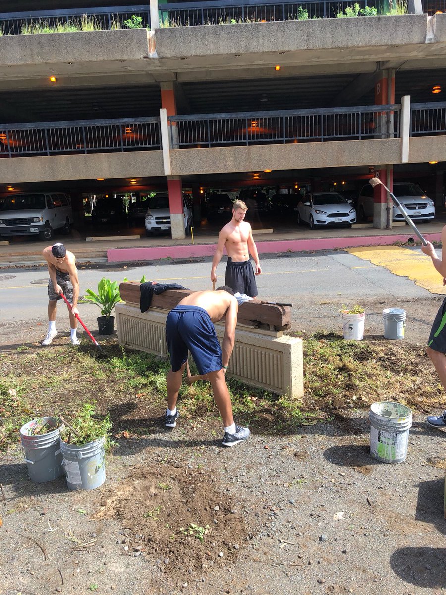 HawaiiMBB's tweet photo. Spent a great Saturday morning beautifying Lower Campus with our friends from Ho’ea. #HawaiiMBB #ManoaPride https://t.co/vP9hWXRv5e