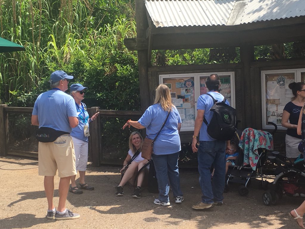 WDWCelebrations's tweet photo. This afternoon nine teams completed a series of tasks in our new interactive game “Yeah, Seven!” They’ll find out who won later this evening! #TwoWildDecades https://t.co/yx0sFiAPDS