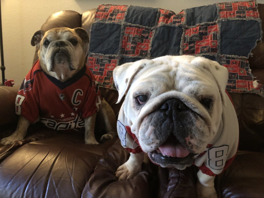 OvietheBulldog's tweet photo. IT’S LATE HOCKEY O’CLOCK! #ALLCAPS #ROCKTHERED #LETSGOCAPS #SaffyBeanGAMEFACE #RIPGrammy https://t.co/gl5yypH5KD