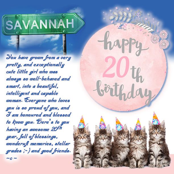 Funny Happy Birthday Meme
