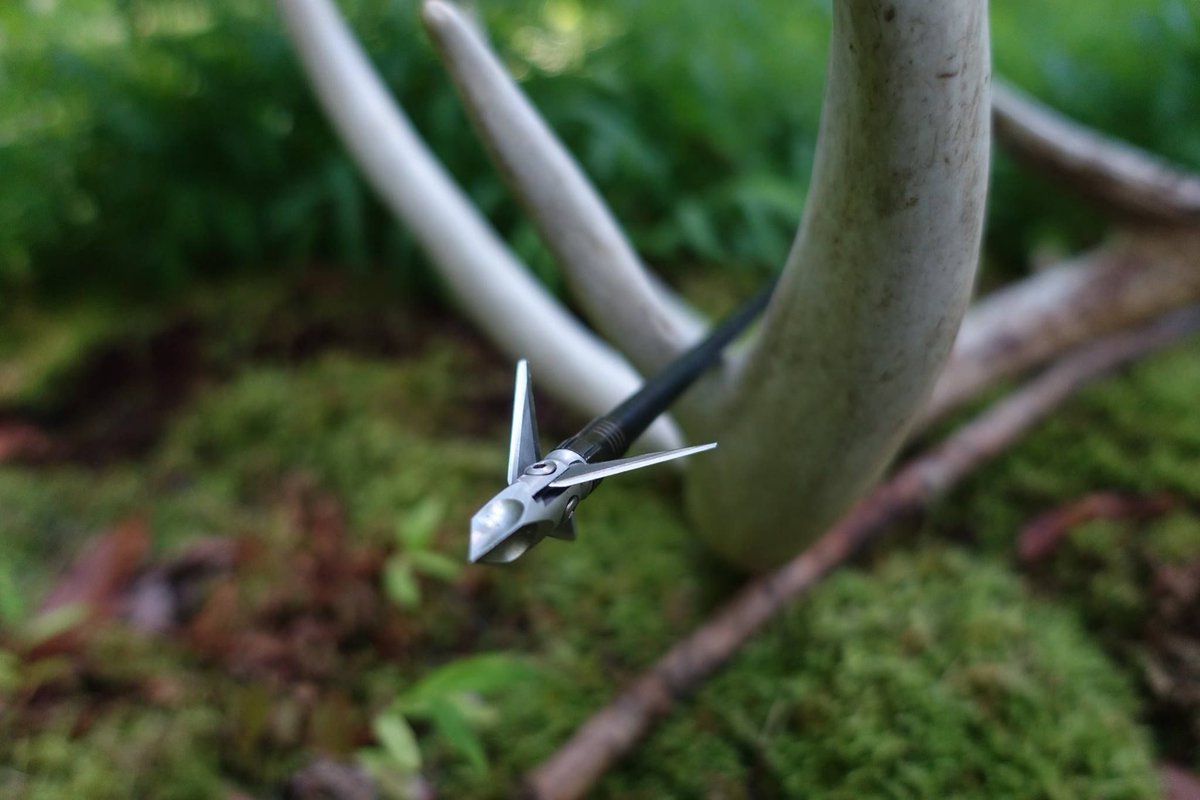 ArcusHunting's tweet photo. RAM : : any of various guided pieces for exerting pressure or for driving or forcing something by impact

CAT : :  a carnivorous mammal
...
Says It All. #RamCat

📷: @MadisonRaviart , Ambassador
#RamcatBroadheads
#HitsLikeARam
#CutsLikeACat https://t.co/zO1ogNMuAw