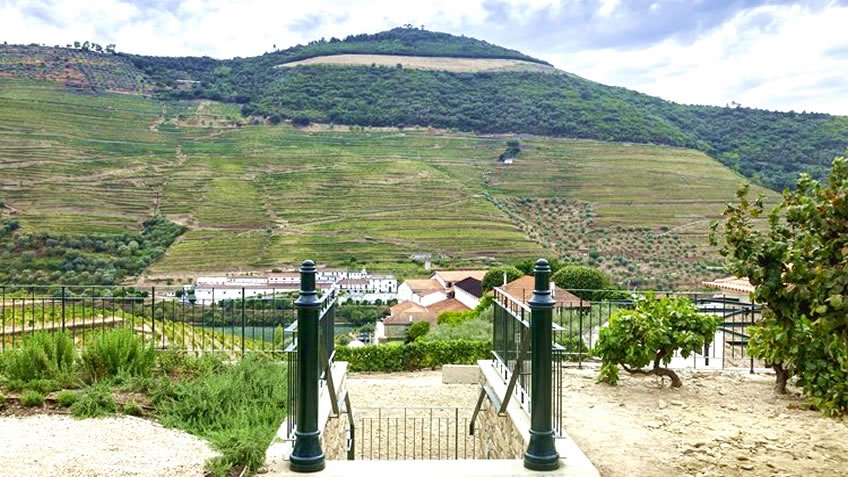 WineInPortugal's tweet photo. Worldly recognized for its wines, the Douro Valley is finally coming into its own. The wineries are an underlying part of the region's strong culture and identity and an unmissable stop when touring the valley. Here's some you can't miss! https://t.co/lXOCftOnCX https://t.co/XuILljzFuM