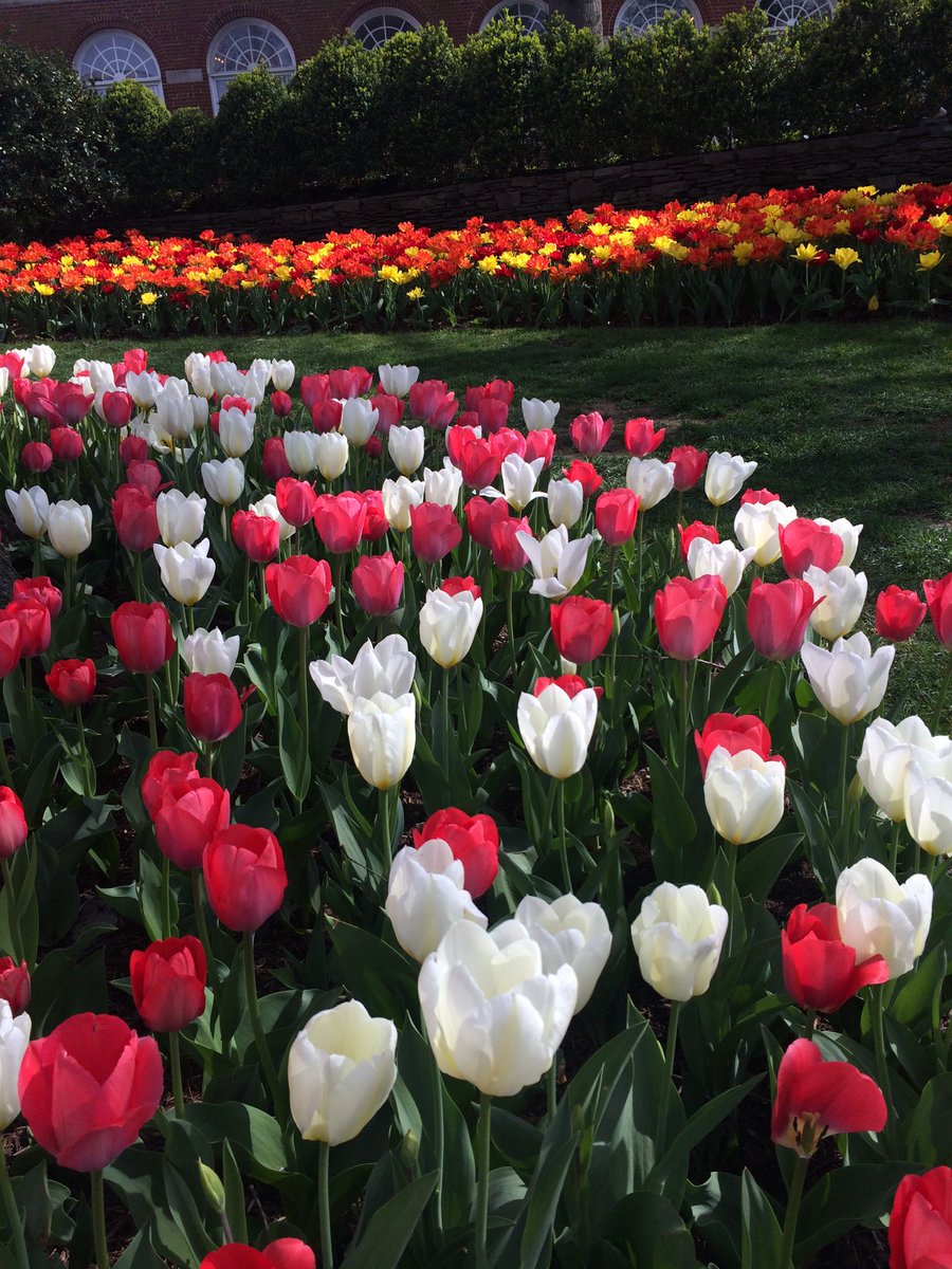 PaulaNersesian's tweet photo. A beautiful spring day in #WashingtonDC for the #NERC18 #STTI #NLN conference drawing nurse educators from around the world https://t.co/6WZtnMv8Xk