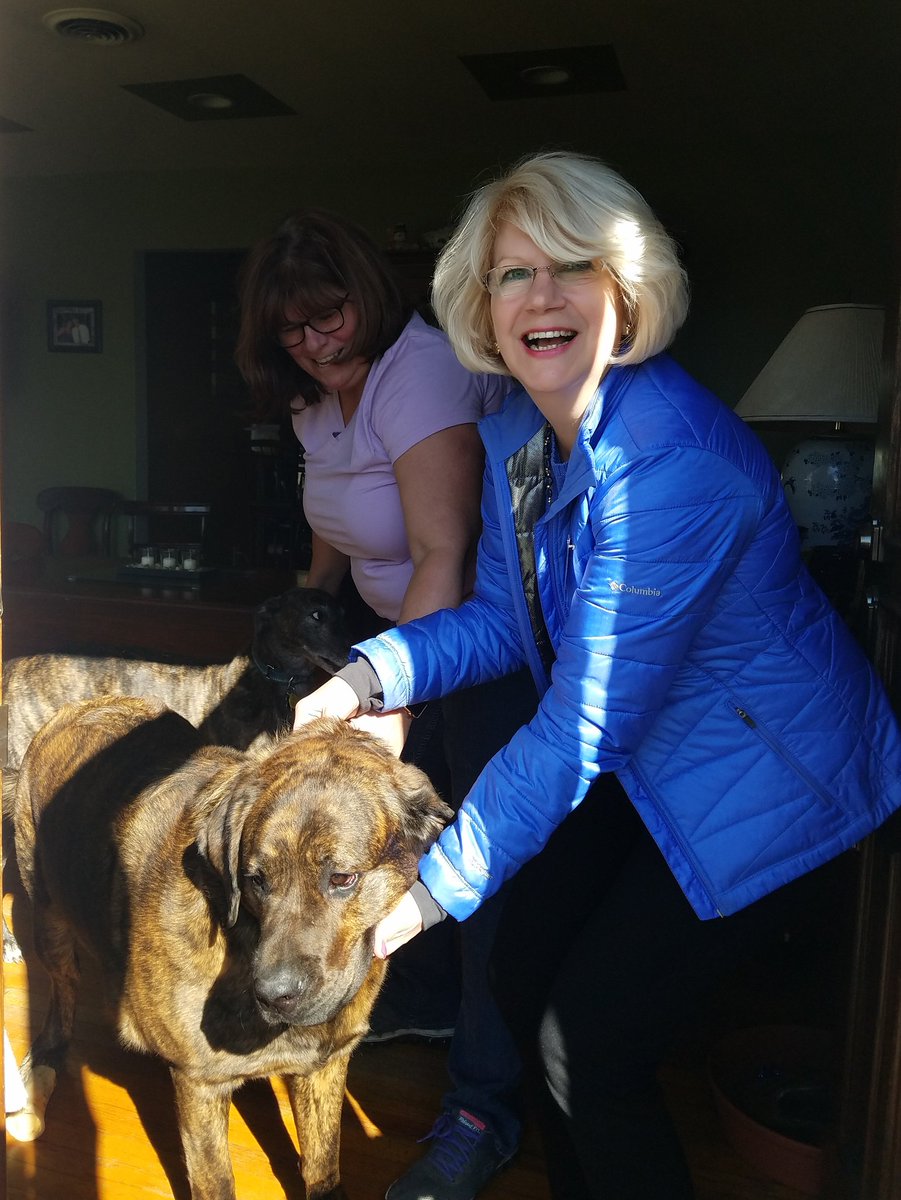 Doran4Assembly's tweet photo. Beautiful afternoon meeting voters (and dogs) in East Greenbush! https://t.co/KrgZouz2Gf