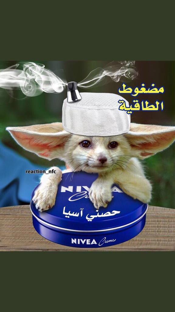 thamerbadyan's tweet photo. @SSuwailm @SamiAlJaber كفوووو اجلد المحلي😂😂 https://t.co/v2xa5Jtxmy