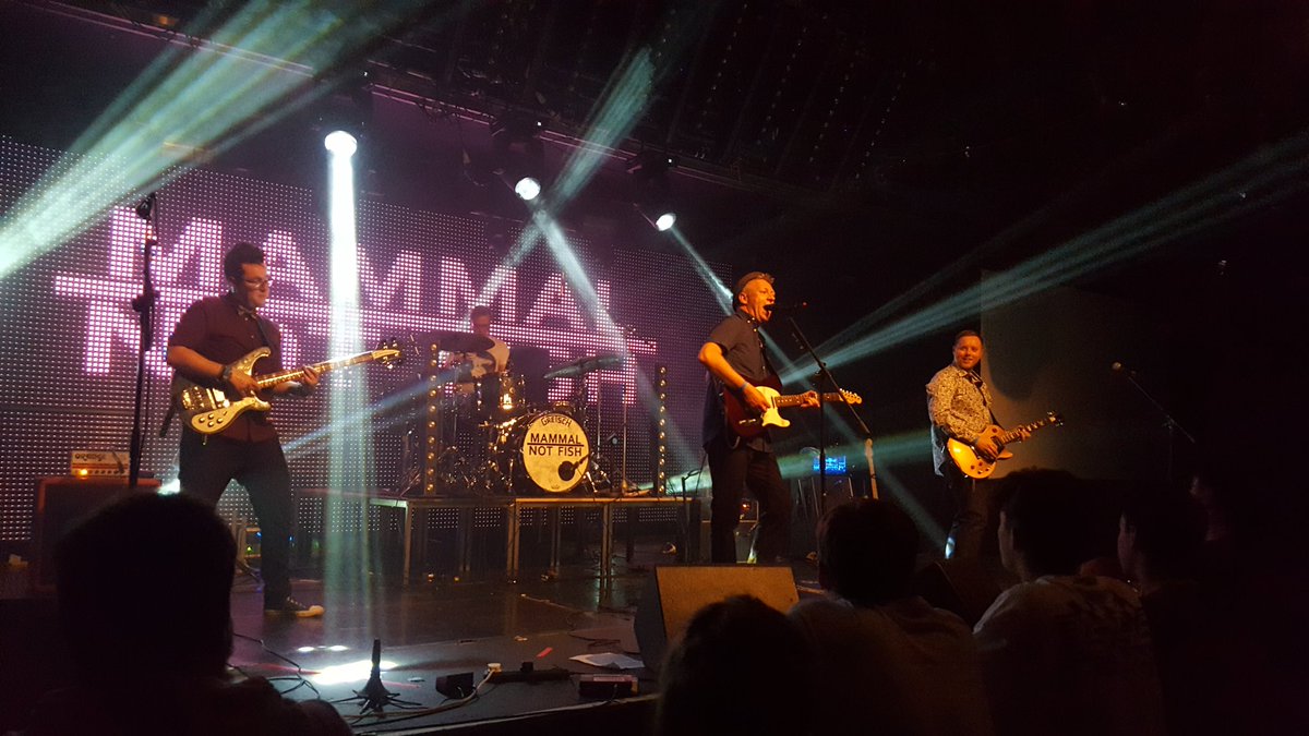 OldRedCelica's tweet photo. Last night, I was mainly......watching @mammalnotfish  at @EPICNorwich.  I'll tell you who else was there. @tuesdayschild66 @Sharronwhales @Kelly2JZ @KolinDurier @grant_ley @BeccaHazel @LankyPestero @JMaas_ThePeach &amp; of course @DaveyWhales https://t.co/pLNOa7Z8ZY