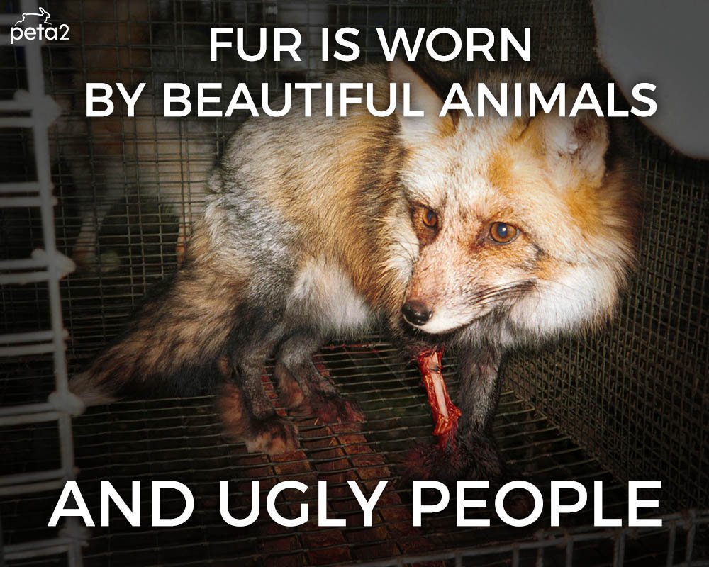 PETAShares's tweet photo. FUR SUCKS 😠 https://t.co/z4NriOLSOL