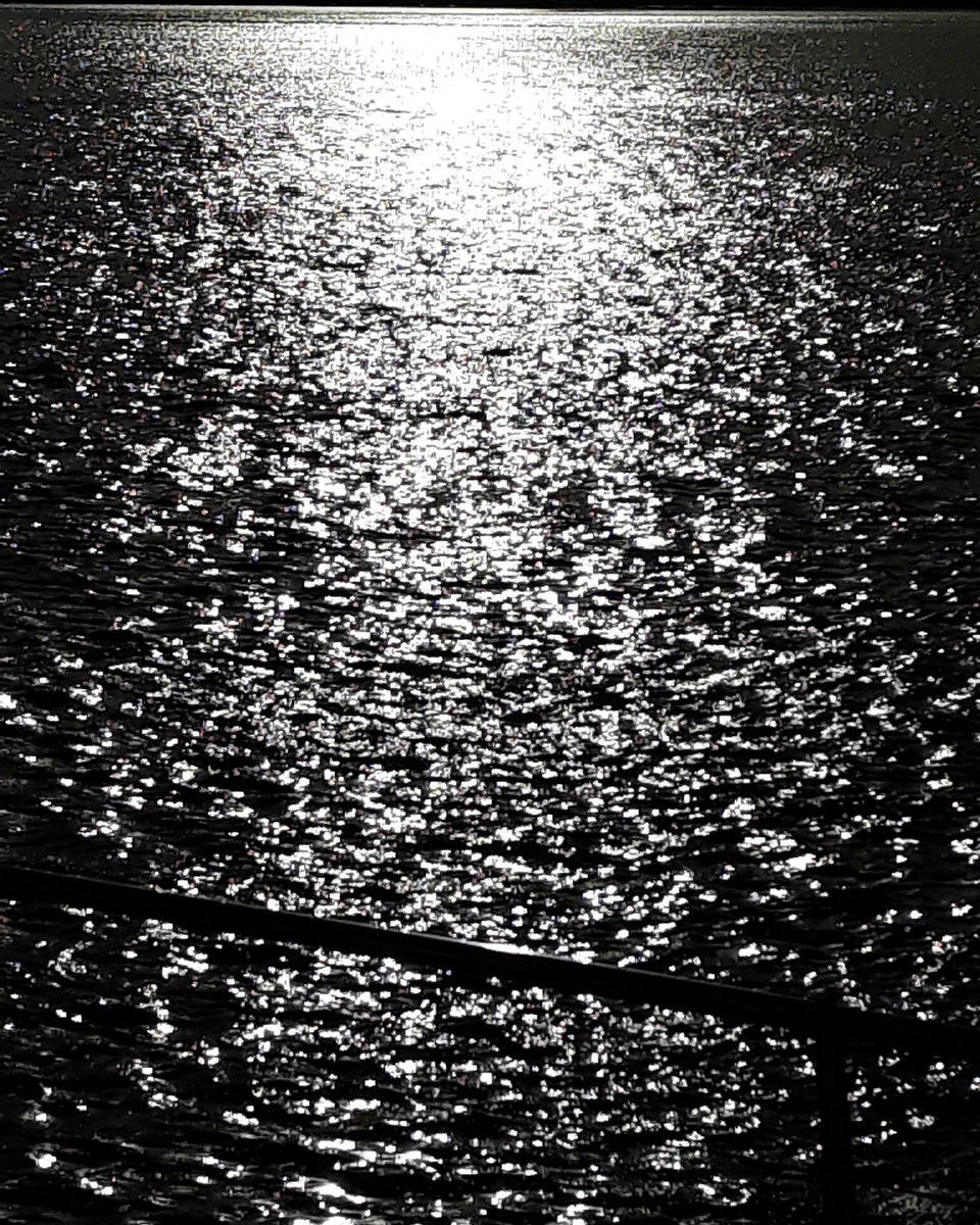 mp_eri's tweet photo. Si tú me das tu libertad me das tus años 
blancos, limpios y agudos como dientes, 
me das el tiempo en que tú la gozabas. 
Quiero sentirla como siente el agua 
del puerto, pensativa, 
en las quillas inmóviles 
el alta mar. 
Pedro Salinas https://t.co/yLscSKISIP