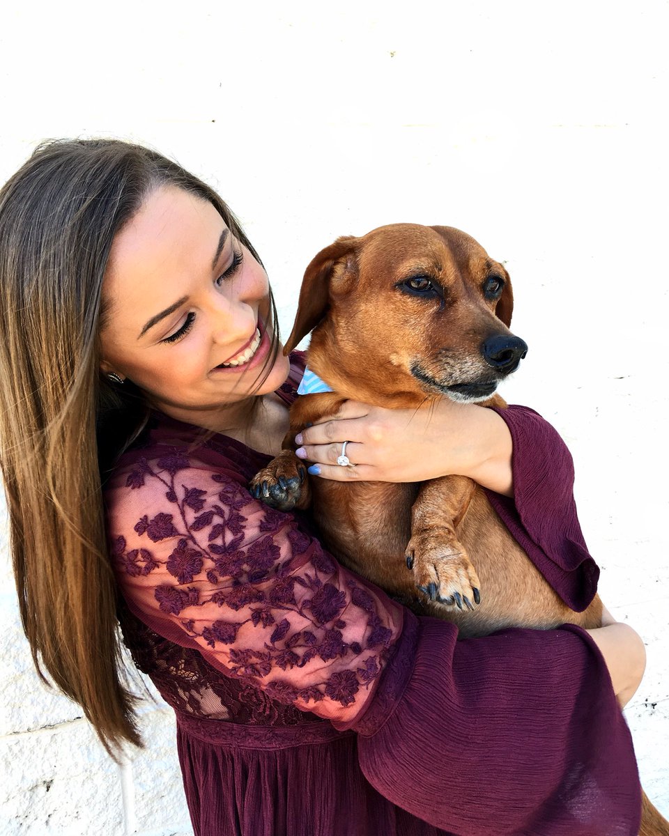TheZombieBride_'s tweet photo. Wanna know the best combination? Puppies and engagement rings! 🐾💍 https://t.co/uPxqIW9lr2
