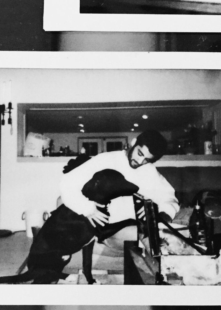 camillalusyfir's tweet photo. “ it doesn’t matter what we do, you make everything seem brighter, I never knew I needed you, like a sad song needs his sea of lighters. ” https://t.co/14iJYNnRiK