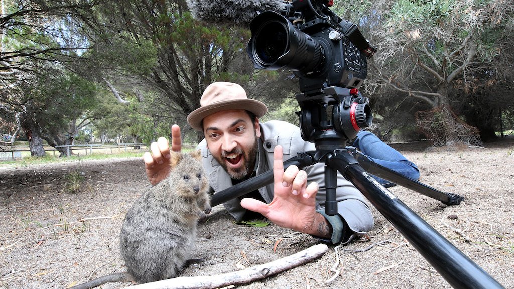 perthisok's tweet photo. LA comes calling for Rottnest Island’s celebrity quokkas, with director filming “quokkumentary” US director David Freid is confident his next film will not just be a documentary — it will be a “quokkumentary”. https://t.co/qJq0CjUOZg via @thewestcomau #perth #westaustralia https://t.co/Jooo7kUULv
