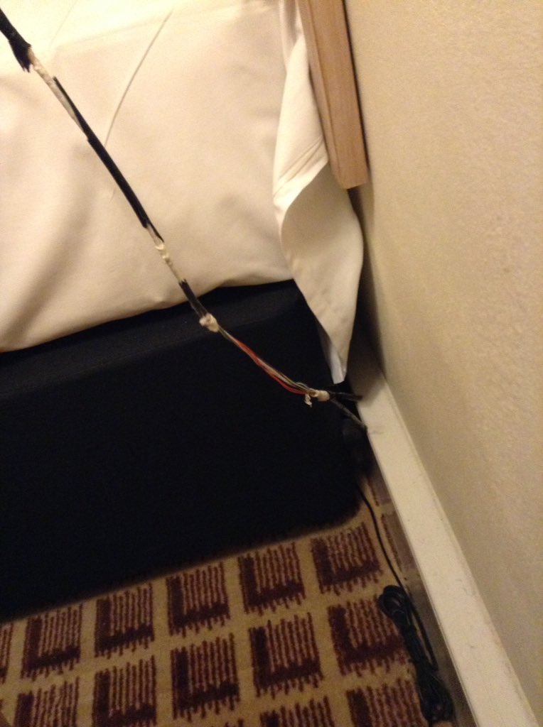 Jemima Puddleduck tweet media