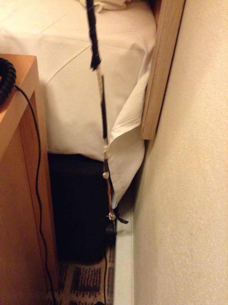 Jemima Puddleduck tweet media