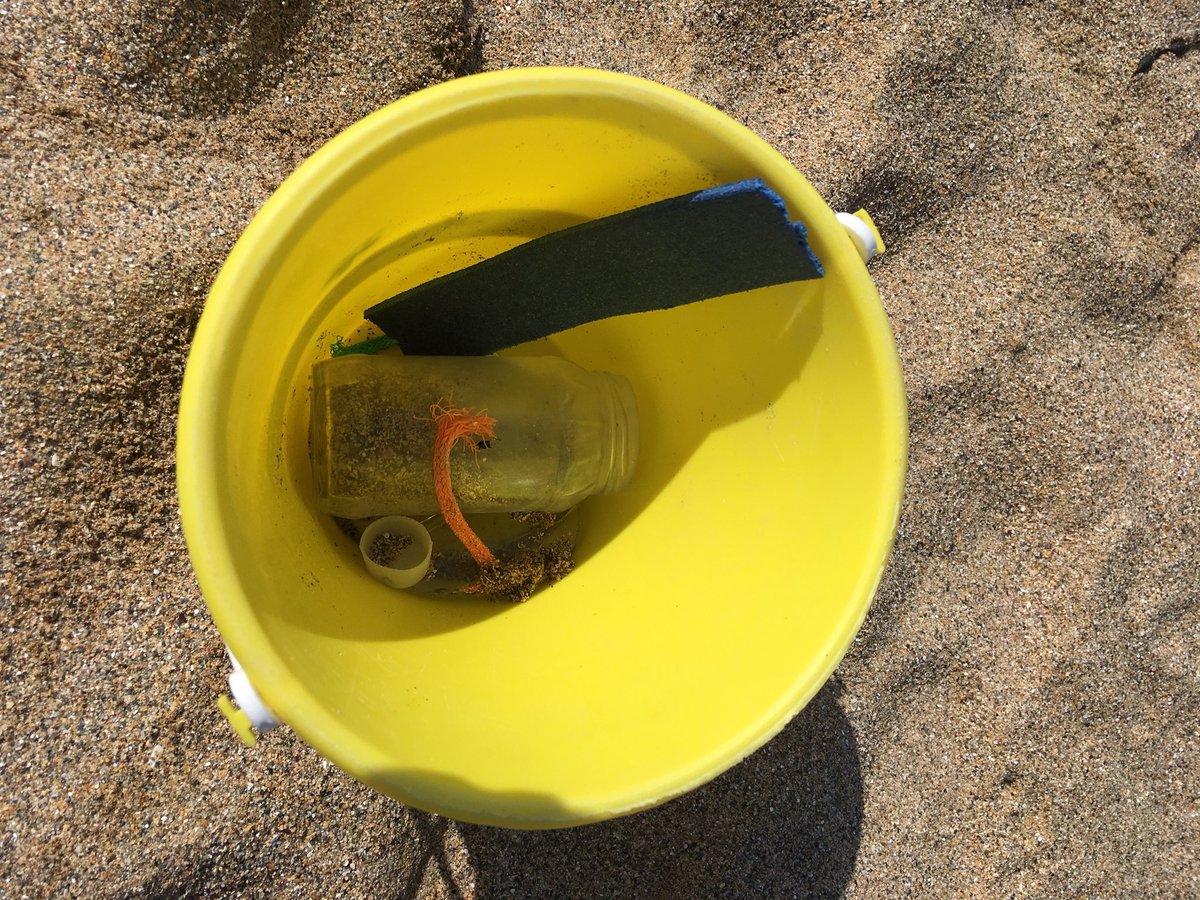 Poppy Naylor tweet media