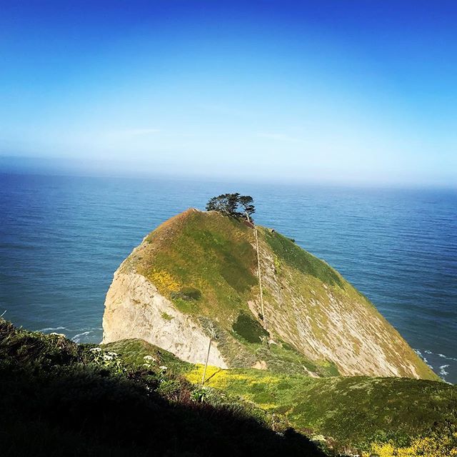 kjvdesigns's tweet photo. Can’t beat the view on the mtb ride this morning...loving this weather! #outdoors #coastside #mtb https://t.co/KWx72fxU9r https://t.co/hqRN5hlcO9