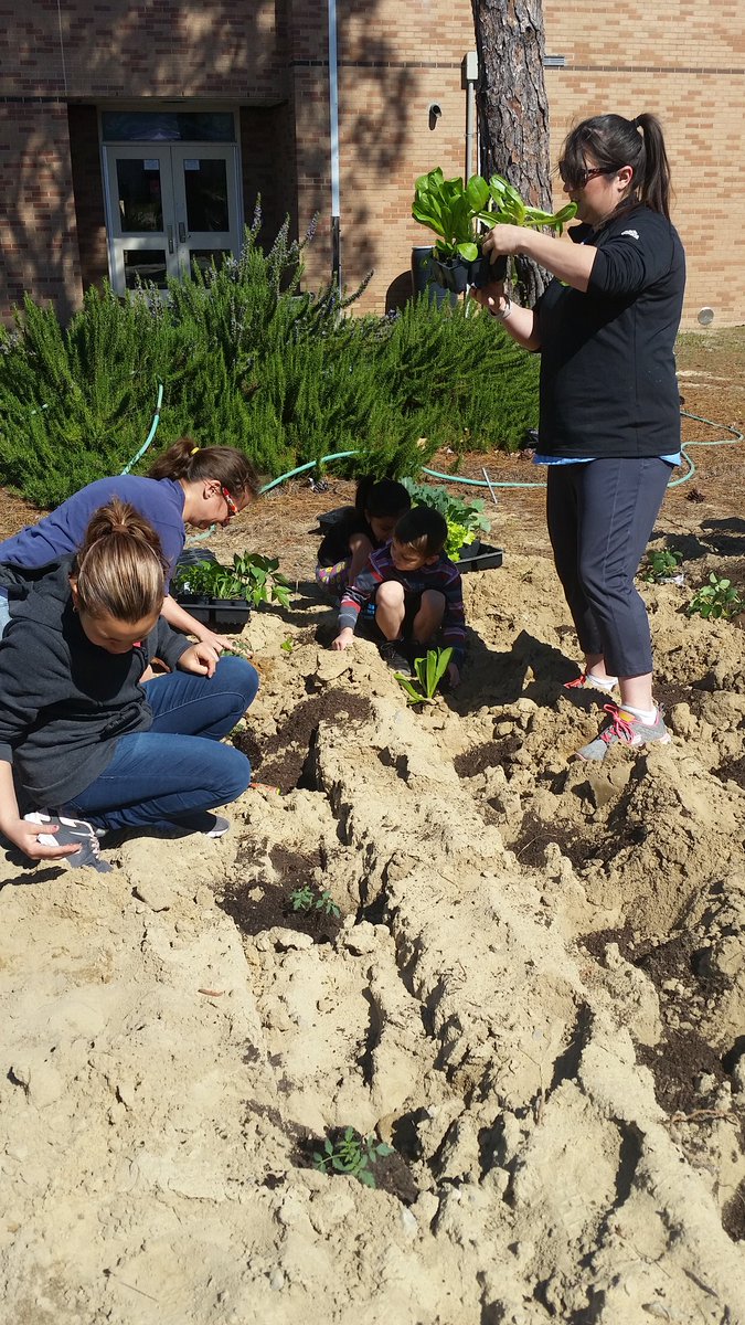 ConderGreenStep's tweet photo. Special thanks to Bonnie Plants for donating plants for our school garden! Growing young minds #EarthDay2018 #CommunityGarden @ConderStars @PaulaChina1 @SellersFelicia @PalmettoPride @RichlandSWCD https://t.co/bIdmvOXLk5