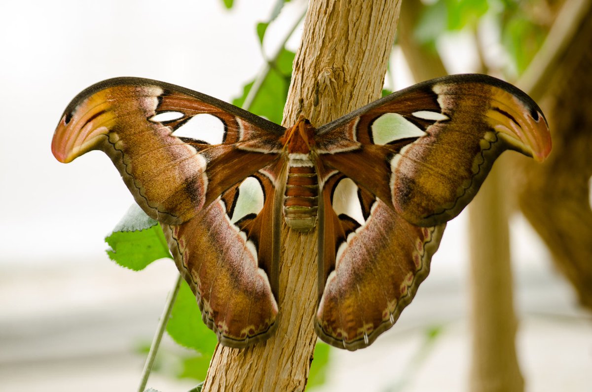 500px.com/photo/254640615