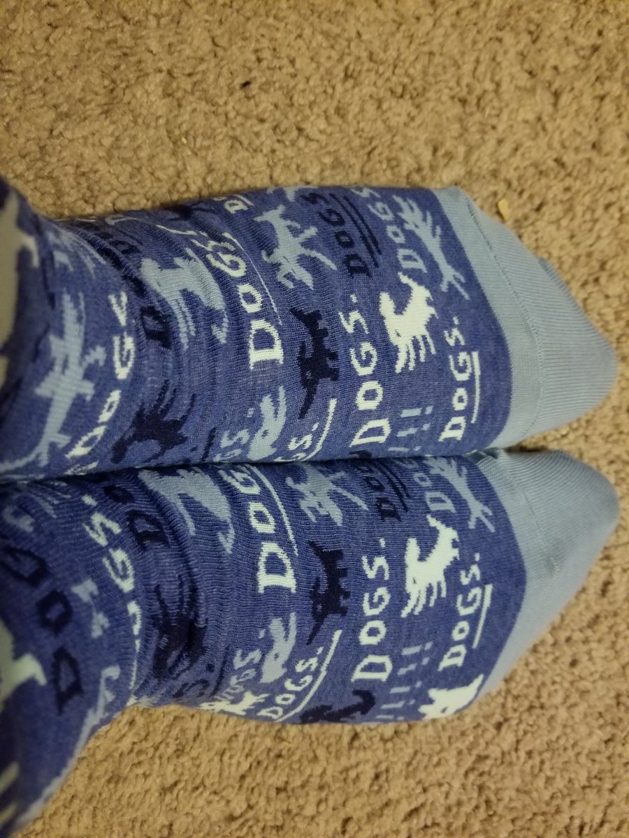 anmcd21's tweet image. Got some A+++ birthday socks from my best friend because 1. She is the best and 2. She knows me so well #dogsfordays #dogsocks