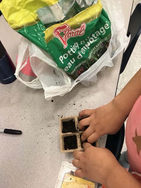 sabameer01's tweet photo. #EarthDay #EarthMonth #earthawarenessweek #funwithscience #earthdayart @kingsviewvjs @EarlyYearsTDSB https://t.co/GTljz19LUa