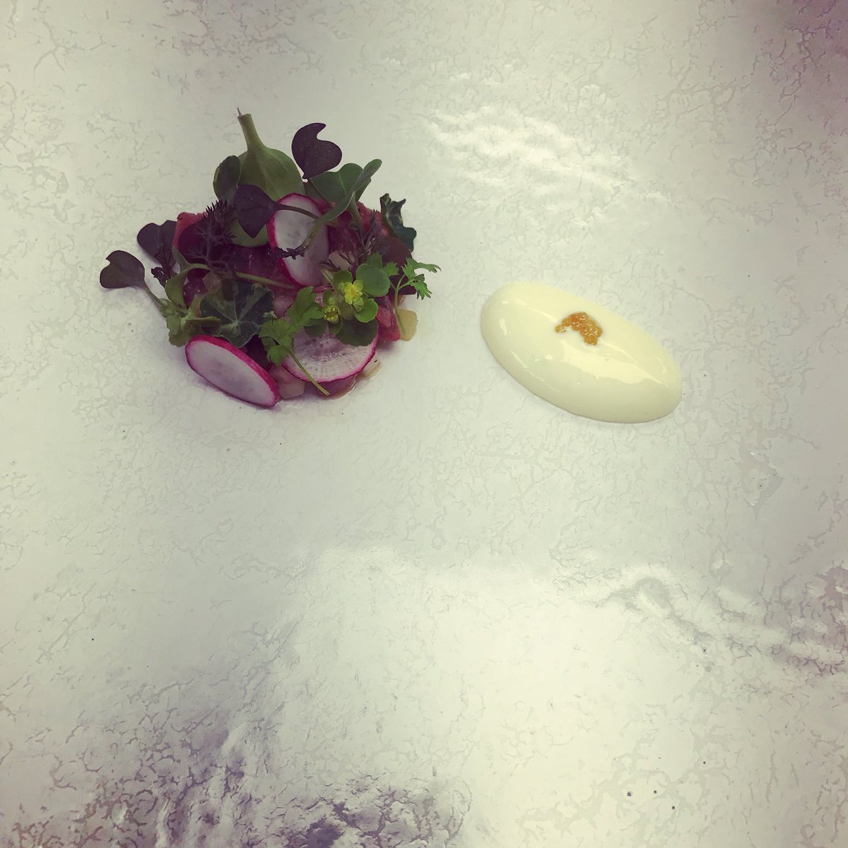lenno1's tweet photo. A few dishes in development for the menu! #devonshirelife #theburlington https://t.co/yJ9RsCocfy
