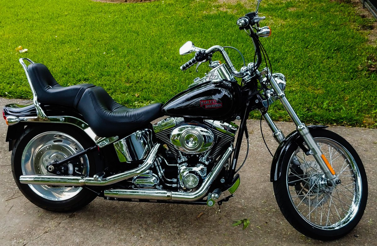 RochaRockstars's tweet photo. ROCKIN' RITA got ALOT of ATTENTION today! @harleydavidson @TheRudyRocha #RochaRockStars #TheRudyRocha #RockinRita #HarleyDavidson #CustomSoftail https://t.co/zloRaGiq1Y