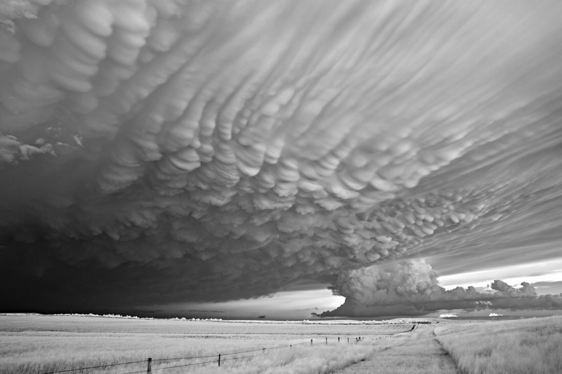 erikabe13's tweet photo. Con ustedes el fenómeno natural llamado nubes mastodónticas o mammatus. 👏🏻 https://t.co/NJhV7EcrKR