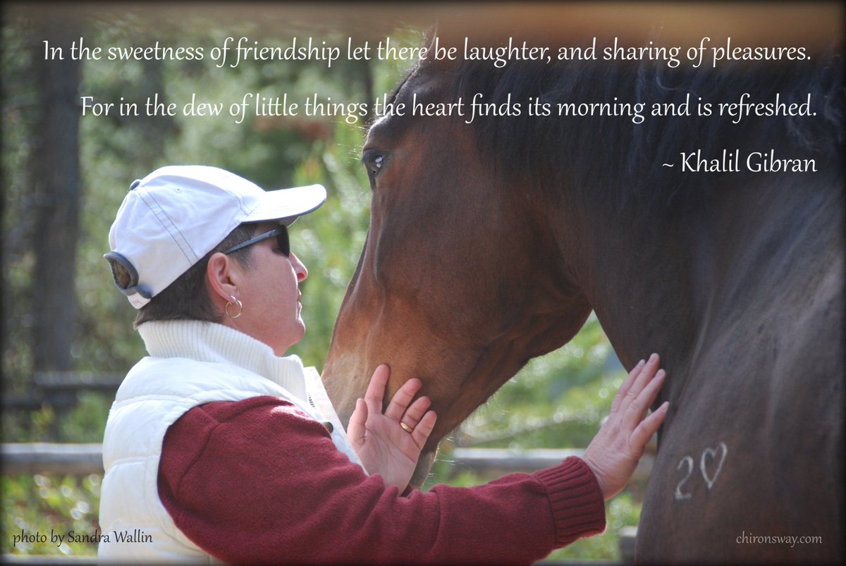 #pixlr
The heart is always refreshed in the company of horses.