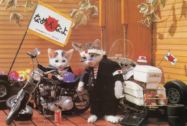 I picked up a pack of early '80s Japanese 