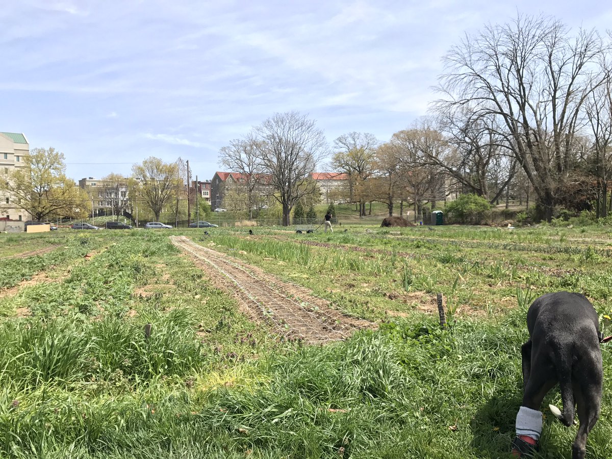 Lee Montessori Board tweet media