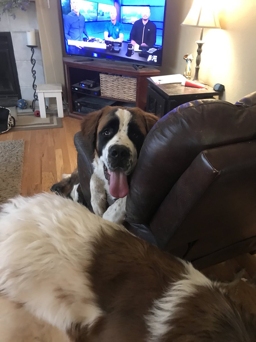 Bevsperryfrost's tweet photo. @OfficialLivePD C’mon a new LivePD is about to start! https://t.co/b9kRv8ybo9