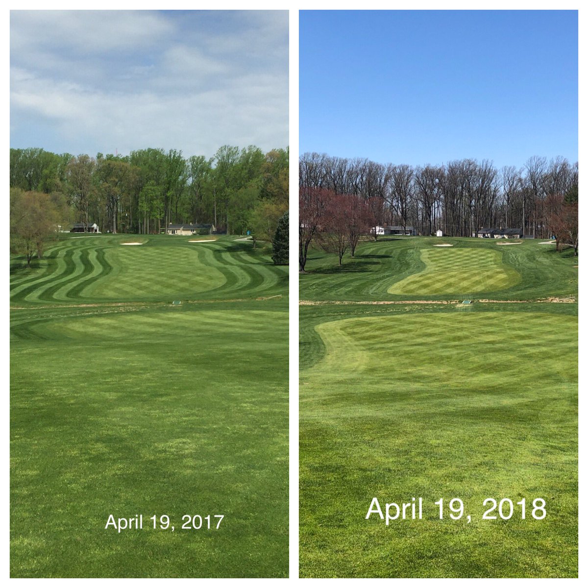 HillendaleTurf's tweet photo. Grass doesn’t grow based on the calendar date. Soil temps are everything! It looks like Mother Nature will give us a nice boost this upcoming week. https://t.co/FZPPGc51uE