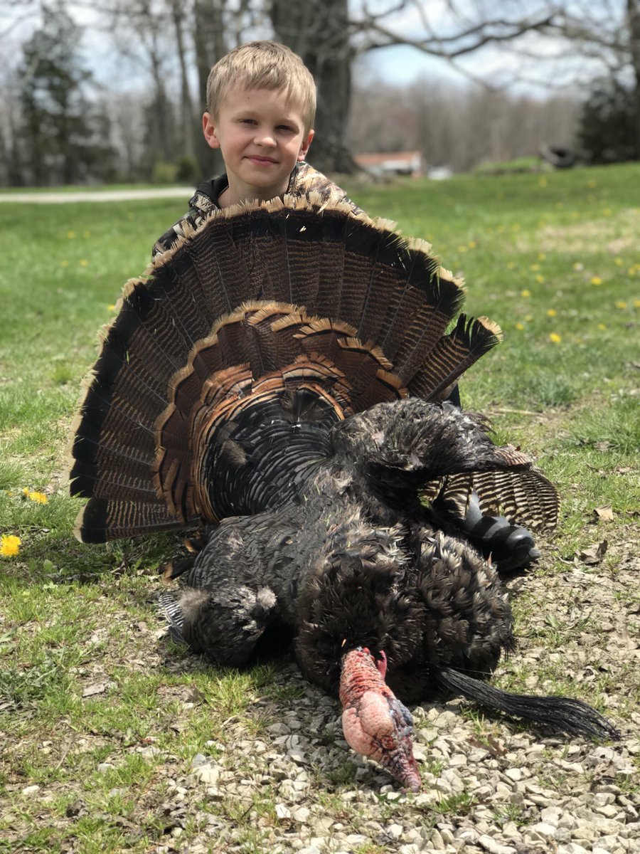 #birddown.