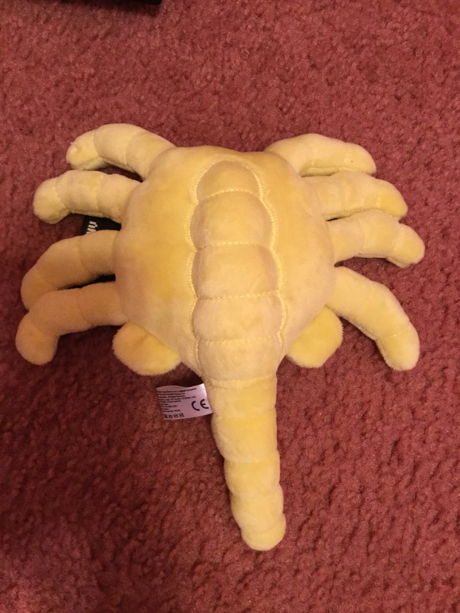 Nerd1279's tweet photo. Spiders IRL vs Spiders on YouTube https://t.co/IQ4raooBIQ