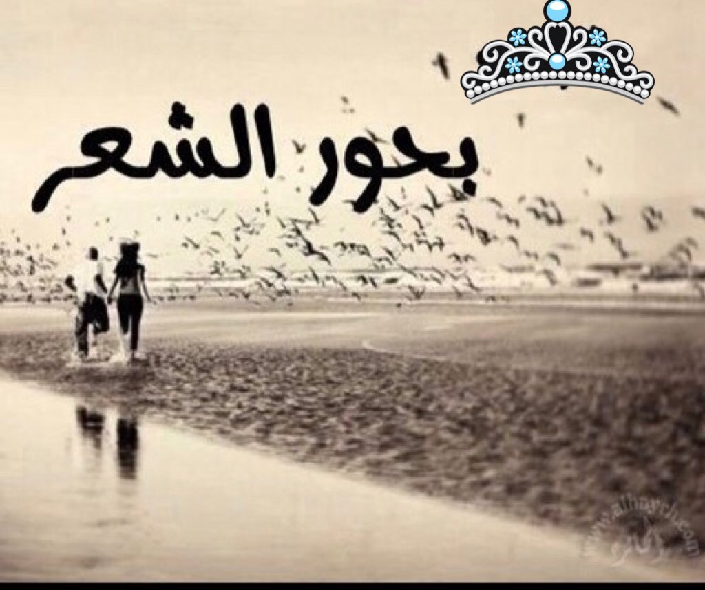Shomuk81's tweet photo. مشتاق ياهيه انا لشعر وبحوره
بالله تكفون أروو ضمَّا روحي
معاد يكفيني اقرأه واتابع حروفه
انزف شعور ولااقدراكتب انا بوحي
؛
:
؛
:
؛
:
؛
:
؛
:
؛
:
؛
:
؛
؛
؛
:
؛
:
#بوحsشموخ- https://t.co/6n44LG9oDW