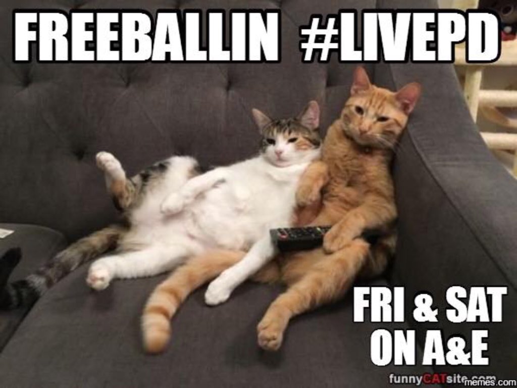 LivePd_Fans's tweet photo. #WhatUpFam It’s halftime to Showtime #GoPotty #TakeYourPupsOut #TuckInTheKiddos #GETSNACKS @AtoZendejas @LivePDK9 @Craigmyle_Lor @BradPeck14 @Sean_C_Larkin @LaurrieSummers @gridironboyz @CraigmylesMob @OfficialLivePD @LivePdFantasyLG @LadiesOfLivePD @LivePDNation @DanTheBeepMan https://t.co/qhKzsuSrDe