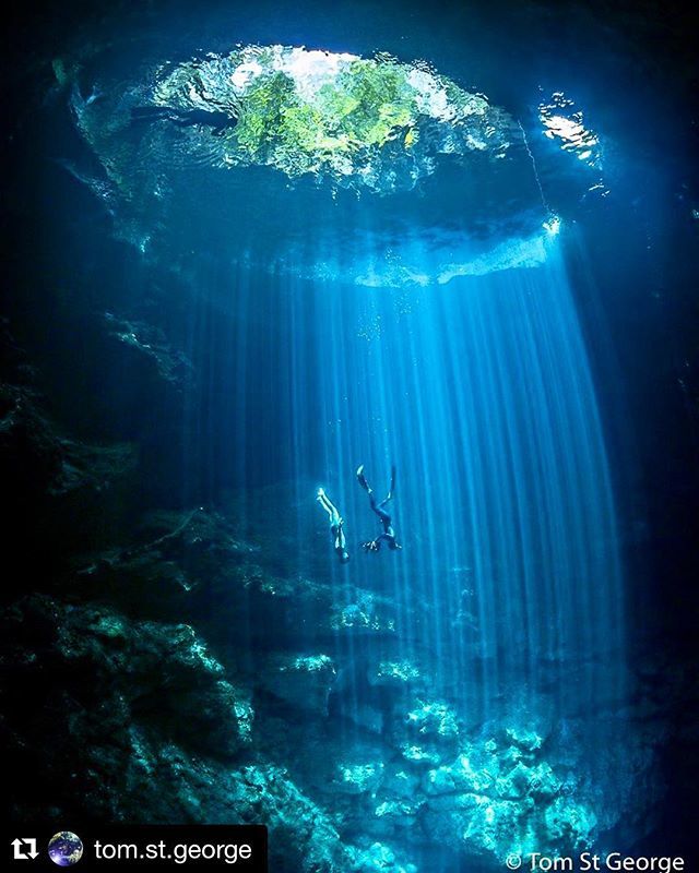 bctravelwriters's tweet photo. Guest 📸: @tom.st.george ・・・
Another shot of Julie Gautier Nery filming closeups of @guillaumenery descending through the magical light beams at The Pit 📍
.
.
.
#bcatw #travelphotography #travelwriting #media #diving #adventure #adventuretravel https://t.co/lWlFEZ8Lnb https://t.co/4oeDkIAHgJ