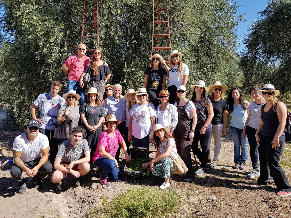 Hoy cosecha de aceitunas con la promoción 23 del curso de #SommelierdeAceitesdeOliva <a href="/AOVE13/">Fundación Seminare</a> <a href="/vino256/">Vinos de Mendoza</a> <a href="/CamaraOlivicola/">Camara Olivicola</a> <a href="/uvas_mendoza/">Uvas De Mendoza</a> <a href="/GastonRe/">Gastón Ré</a> @SabriFacchin