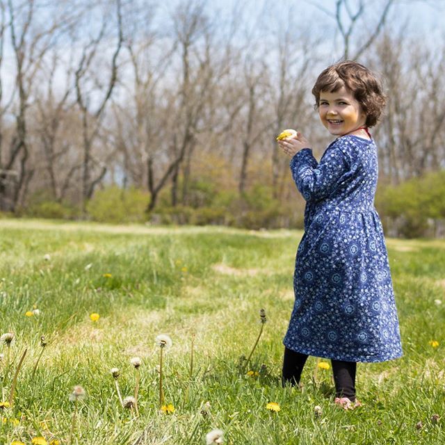 CooperFamFarm's tweet photo. Evie spent the day using dandelions as makeup applicators. She looks pretty good in yellow! https://t.co/B0olk8vs1A https://t.co/wuW1fygbk1