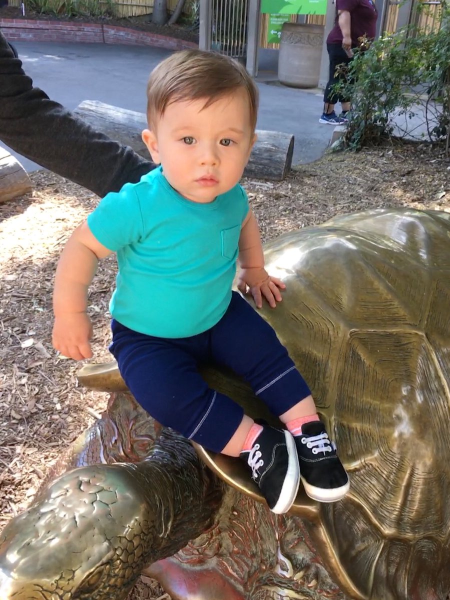 AG858's tweet photo. Another fun morning at the @sandiegozoo @jackiedgomez11 https://t.co/b7DtkvYaWw