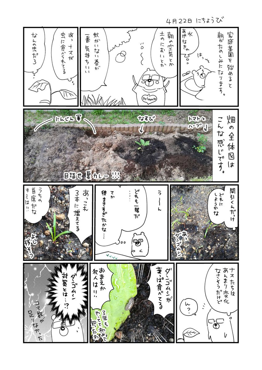 家庭菜園日記はじめてのニンジン 