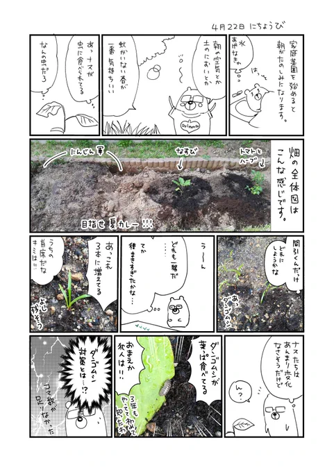 家庭菜園日記はじめてのニンジン 