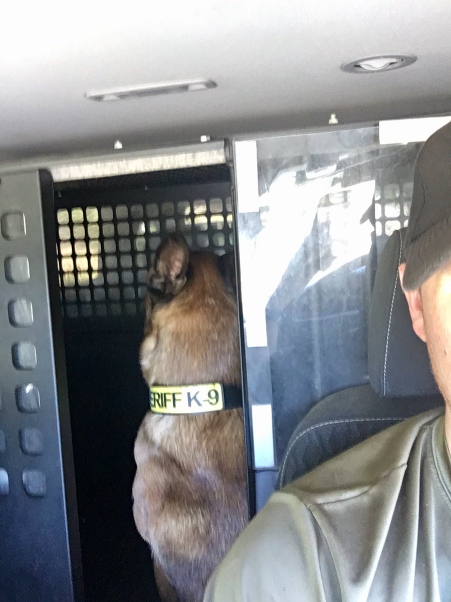 Skygdss424's tweet image. 😂😂RT @WCSOFL: When you try to take a selfie with your #K9, but you didn’t share your beef jerky. 😬😆🤣 

#WCSOK9 #K9Jester #LESM @NationalSheriff @FLSheriffs #SaturdayStruggle #WorkingK9