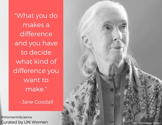 UN Women tweet media
