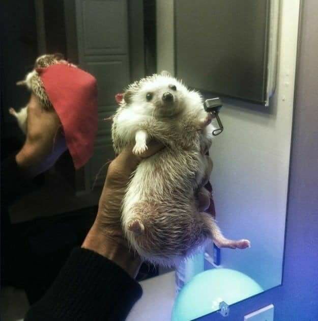 Helllo friends this is a thor’s cosplay