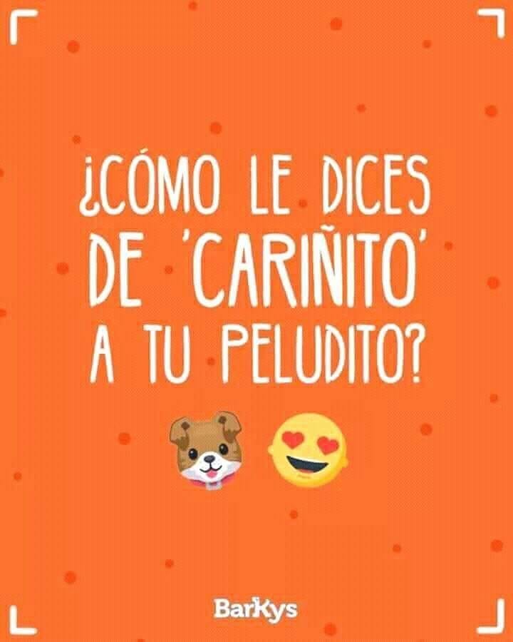 elcampito's tweet photo. Y vos cómo le decís?  
Queremos saber! #puchi #pipi #pichini #pipito #peludito 🤣🤣🤣 https://t.co/0n0NCCrK6c